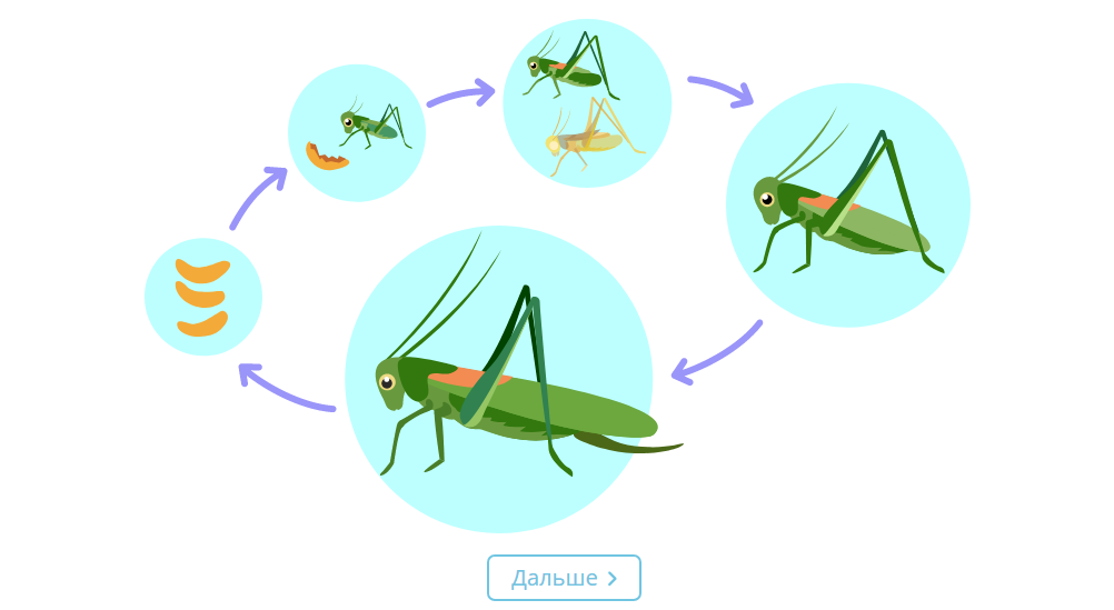 Еще один круговорот подоспел! Что же тут?