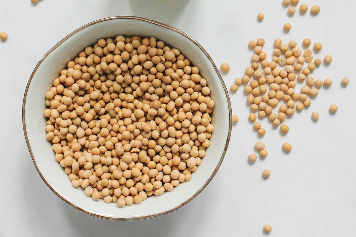 Сою начали выращивать в больших количествах не так давно