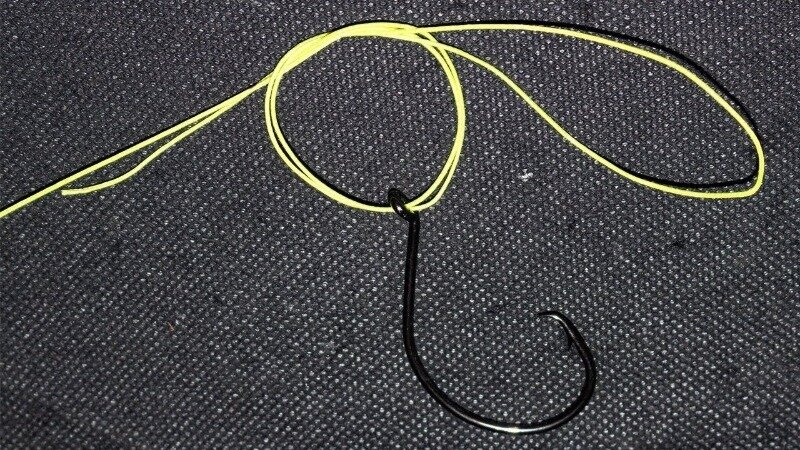 Источник фото https://www.instagram.com/p/B-CVDbhDv1D/