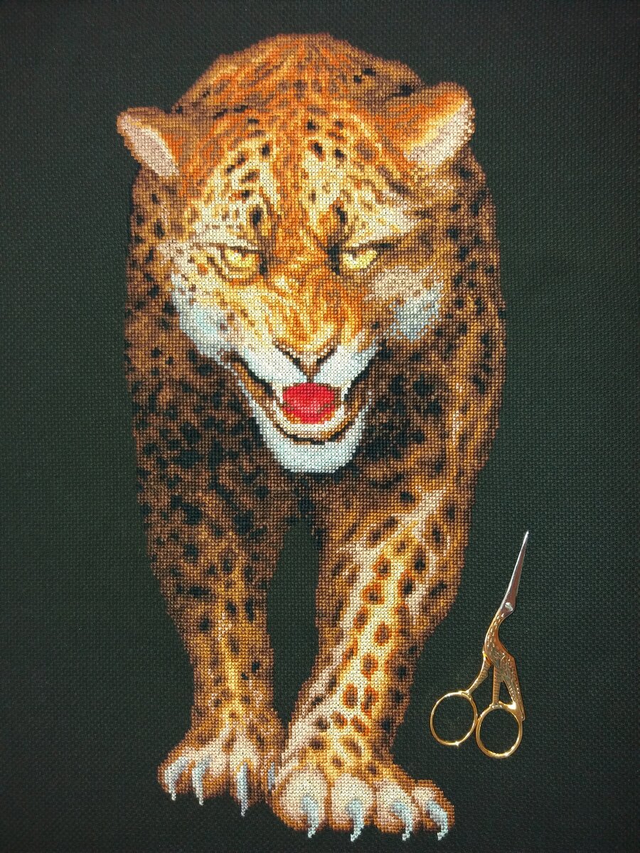 Моя первая работа 