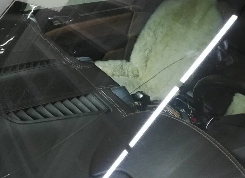 Фото https://www.instagram.com/p/CKRQLxYFMo8/