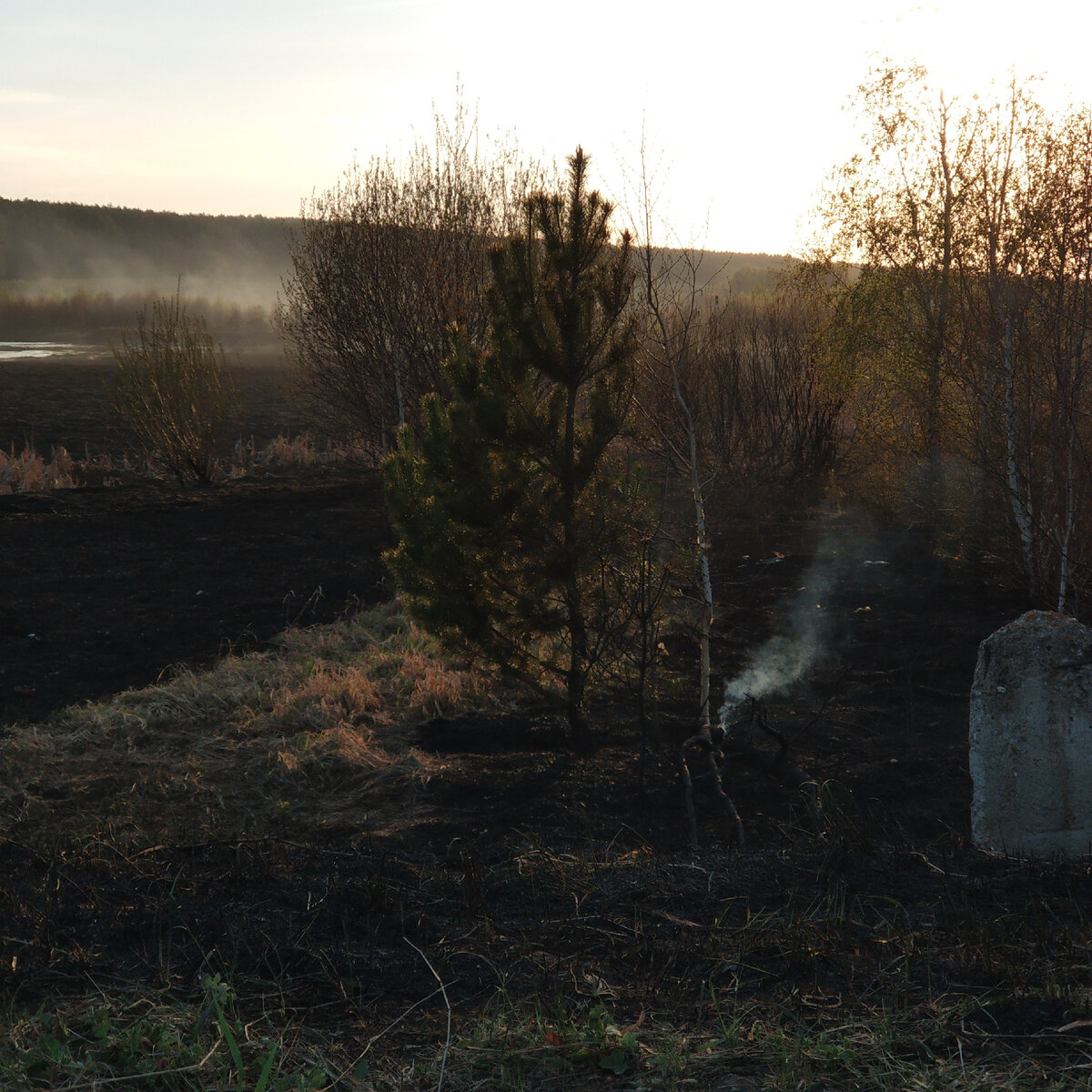 Последствия