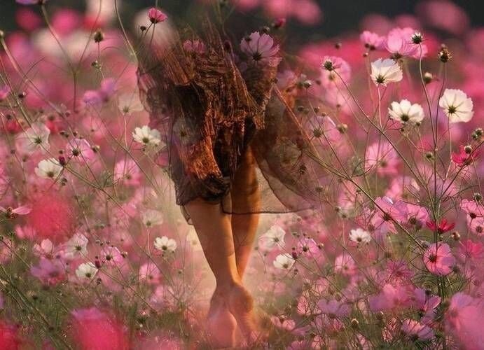 (фото в свободном доступе в сети яндекс) 