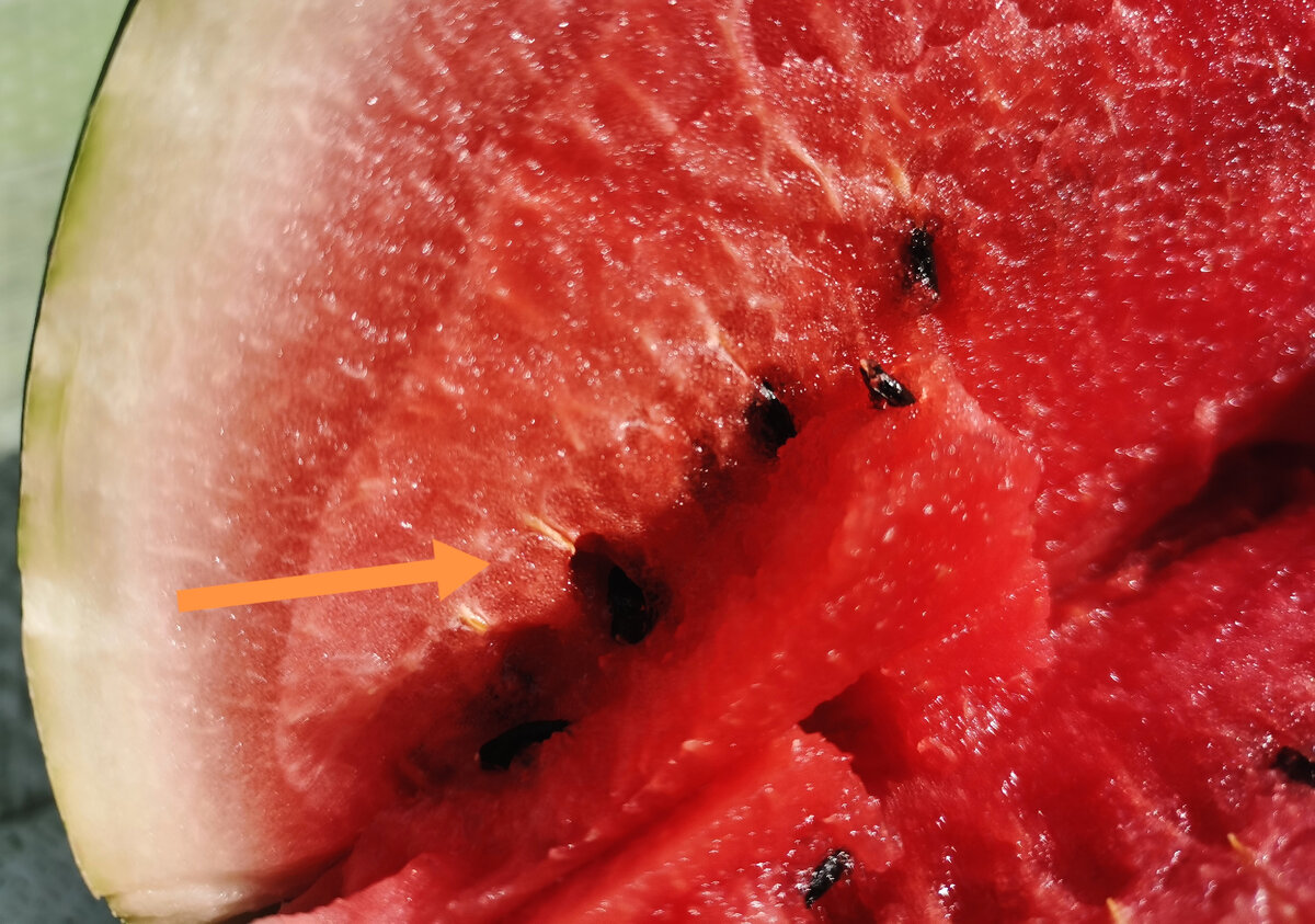 Как понять, что арбуз напичкан нитратами Watermelon, Watermelon rind, Types of w