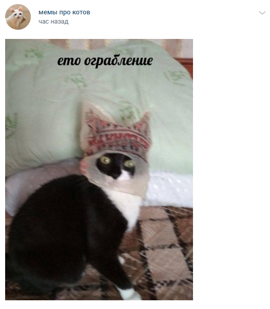 гоните сосиску