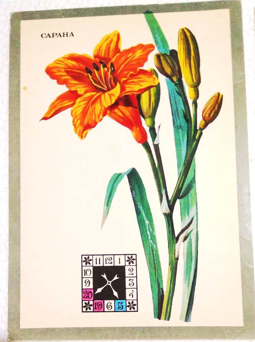 Фото автора.