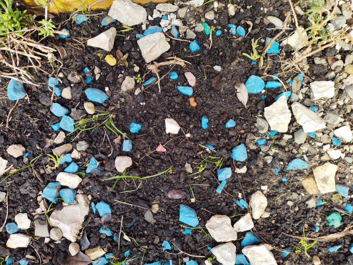  Осколки красоты.  Фото автора канала