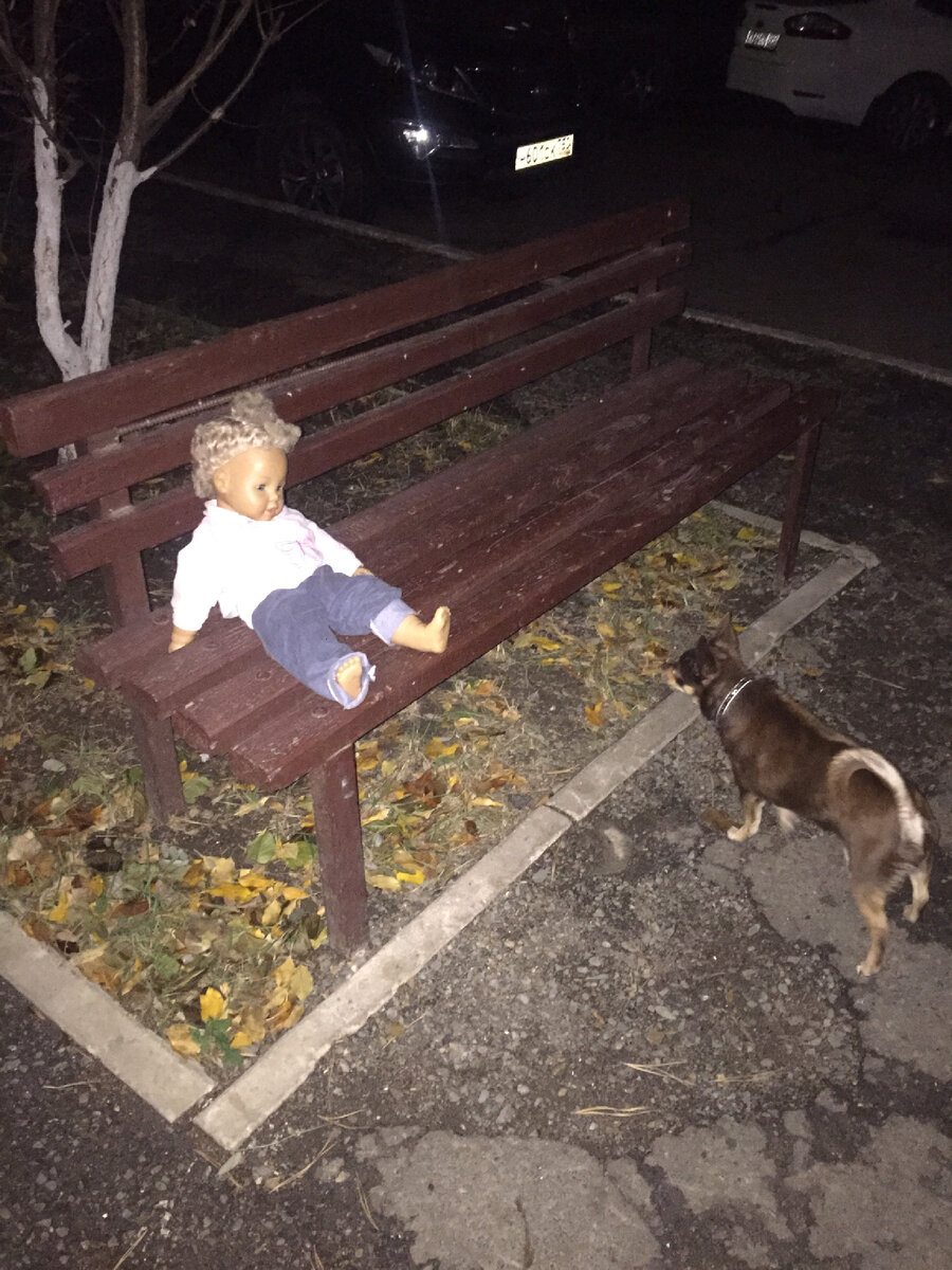 Свобода или одиночество