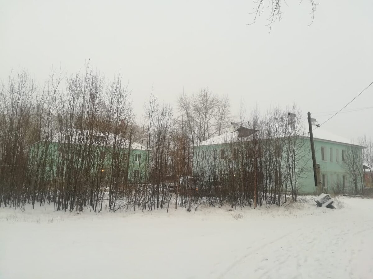 Снежок... ммммм. По Новогоднему 😍
