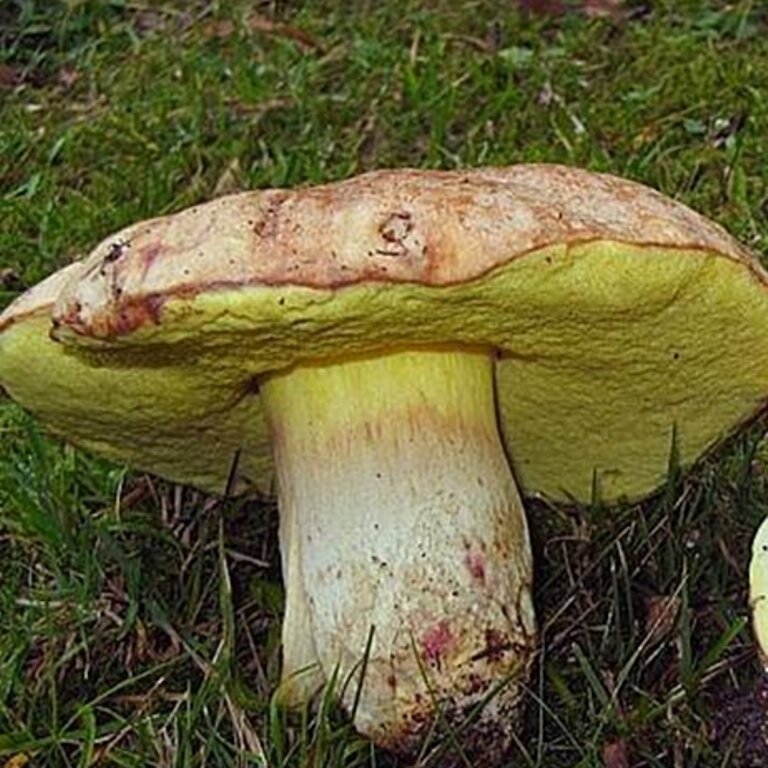 Фото из семейного архива автора