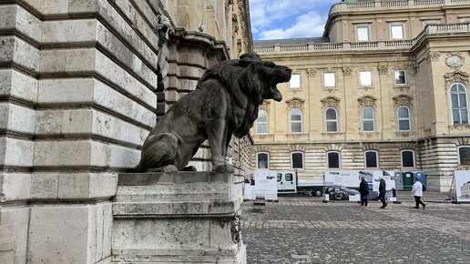 Королевский дворец и самый красивый вид на Венгерский Парламент