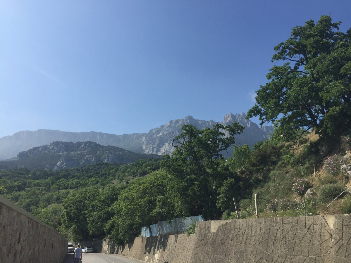 Дорога из Алупки в сторону канатки.