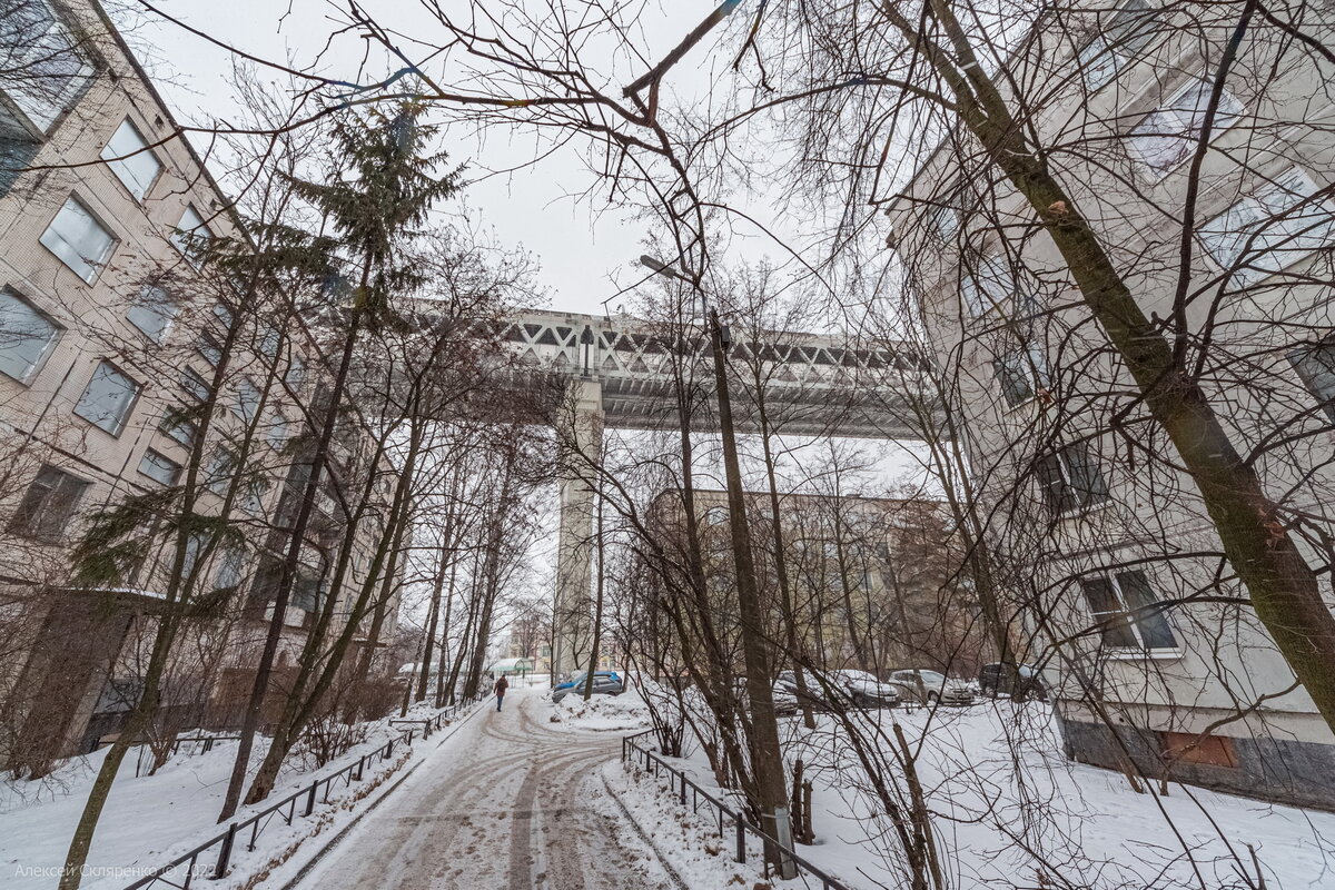 Питерский киберпанк. Как живёт Канонерский остров под эстакадой Западного  Скоростного Диаметра? | НЕ ФОТОГРАФ | Дзен