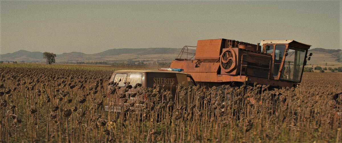 Хорошая находка с засохшими подсолнухами. Кадр из к/ф Texas Chainsaw Massacre.