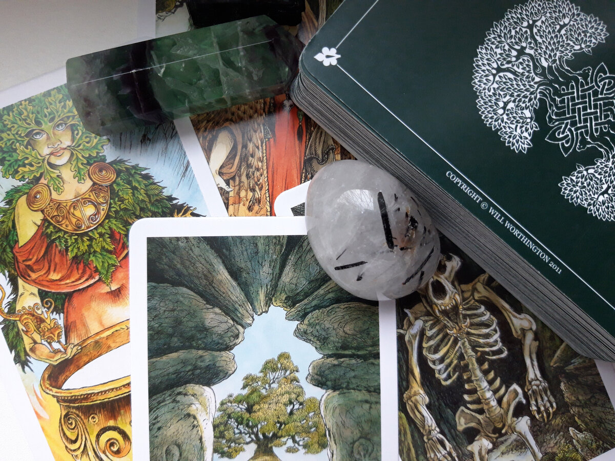 Фото сделано автором канала. 