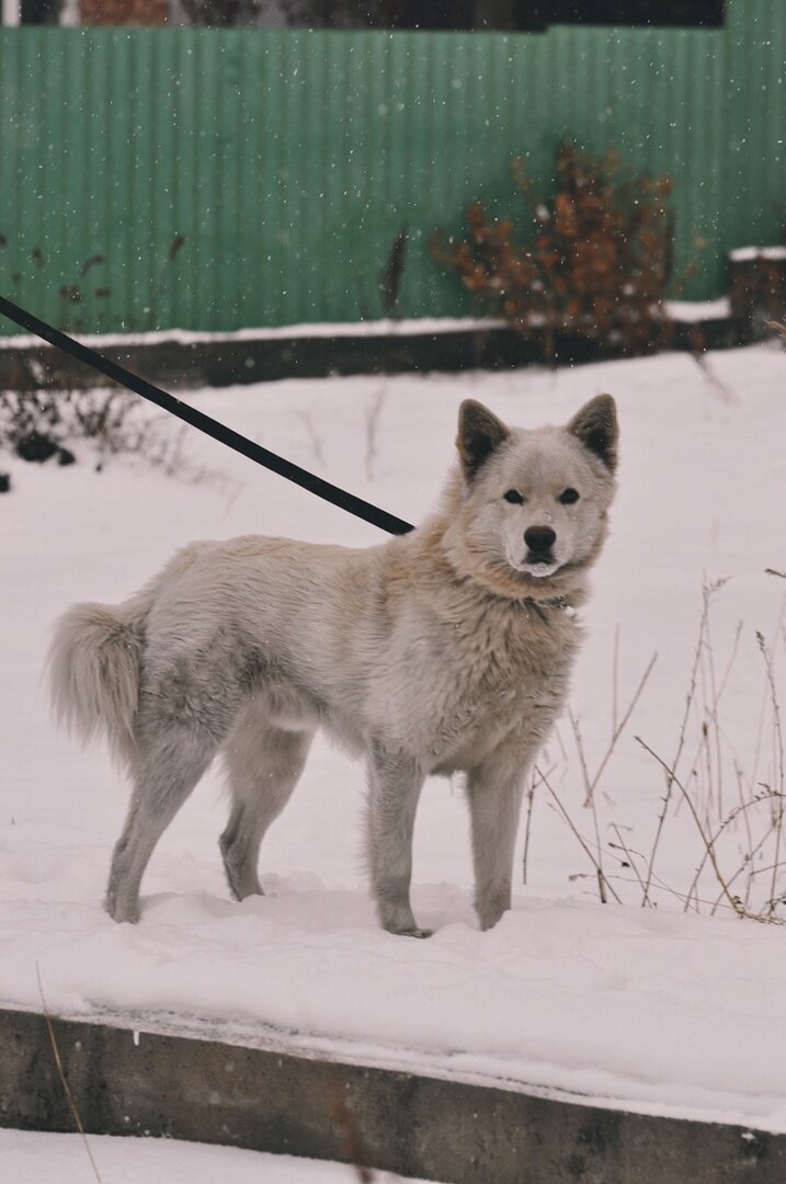Каспер