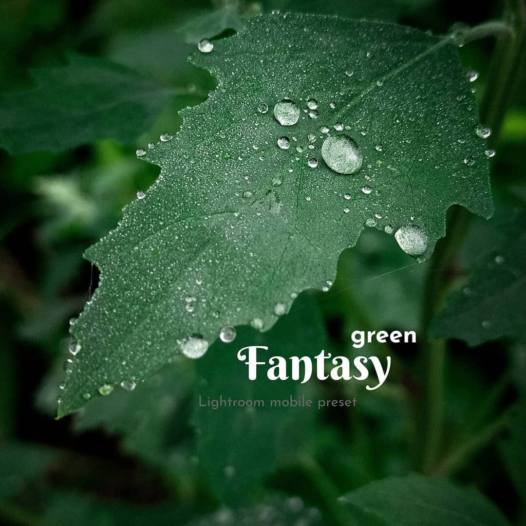 Моё фото сделано на обычный смартфон