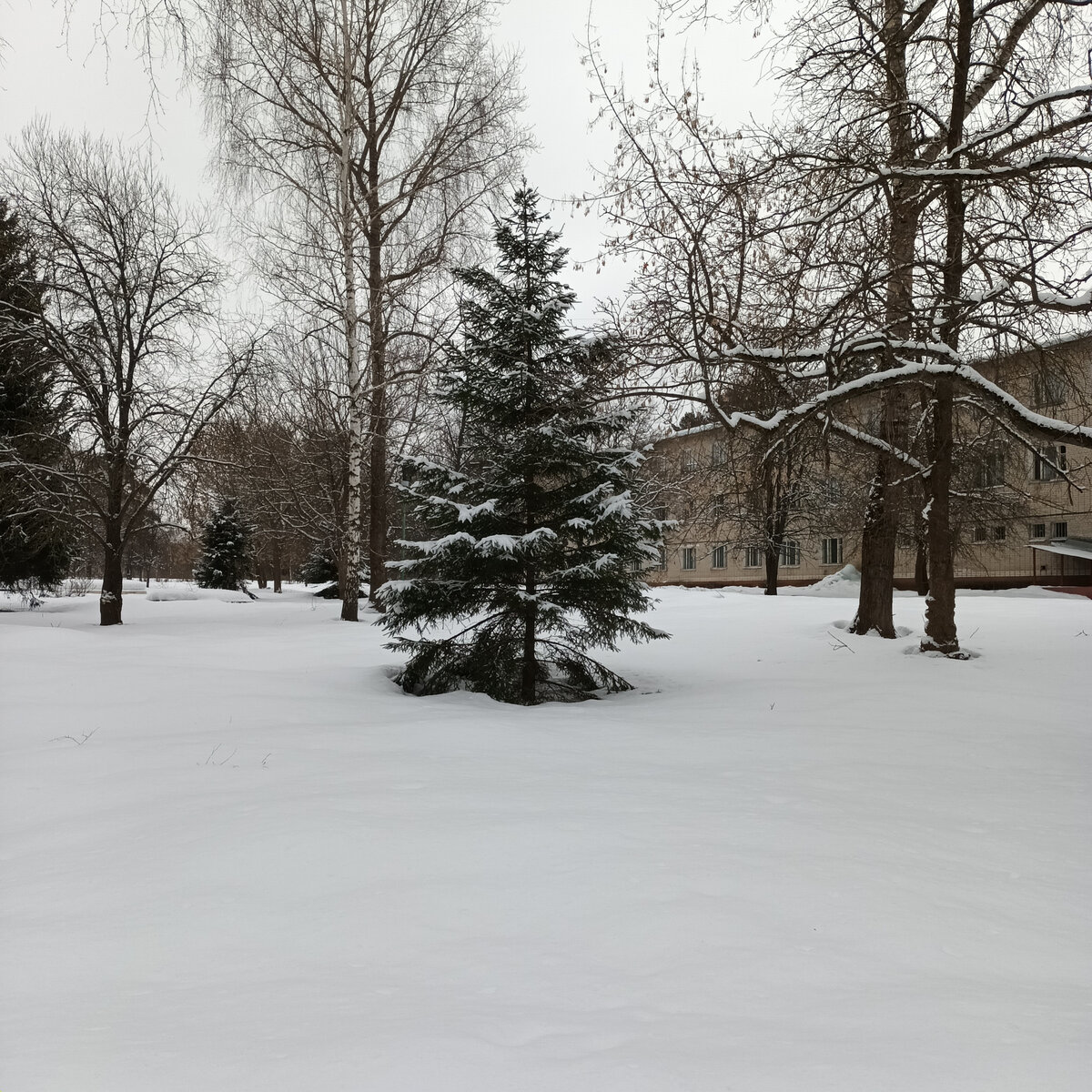 Ерино