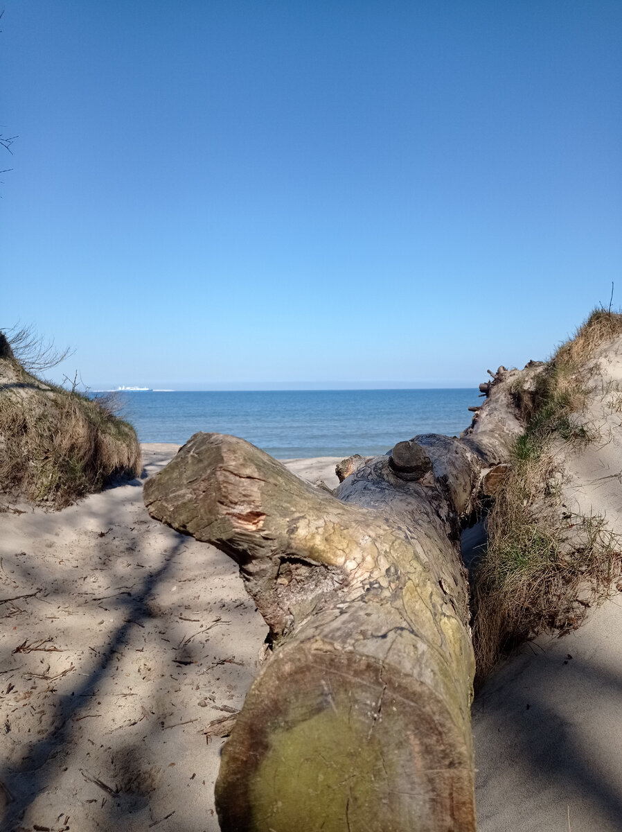 Балтийское Побережье