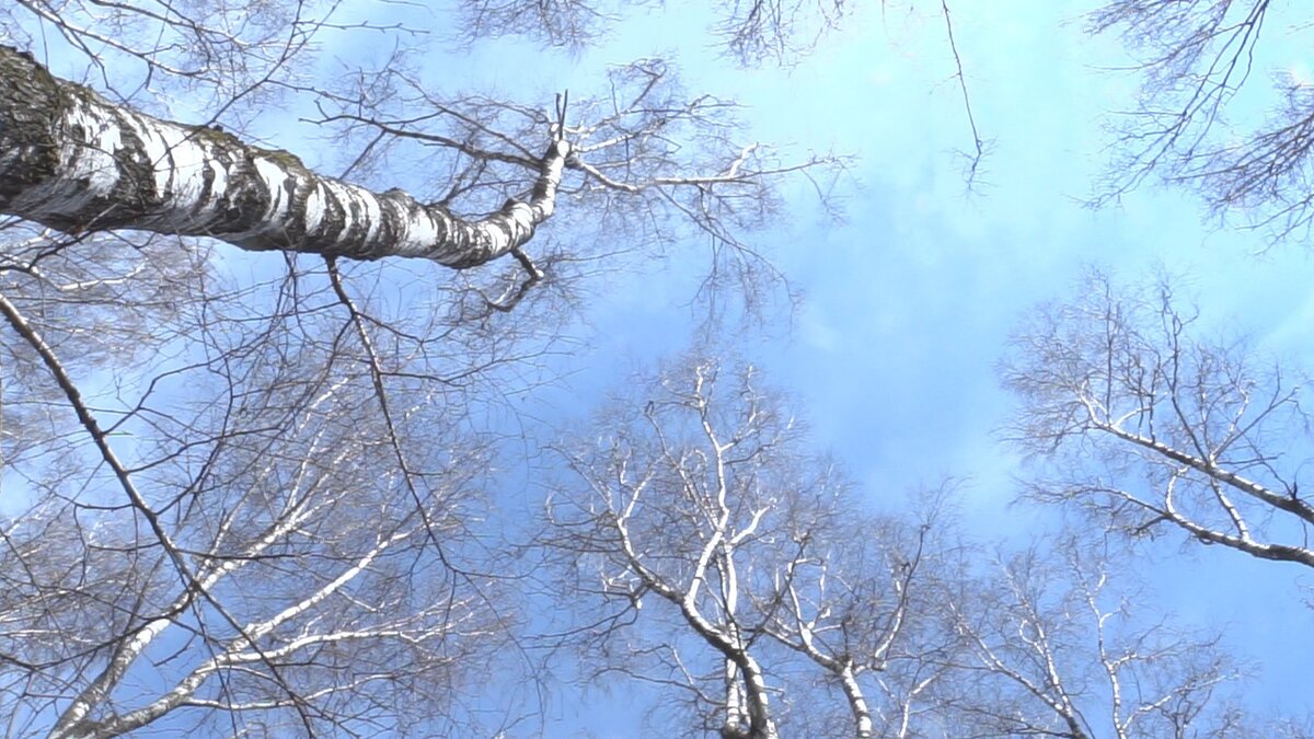 Фото: Тульская служба новостей 
