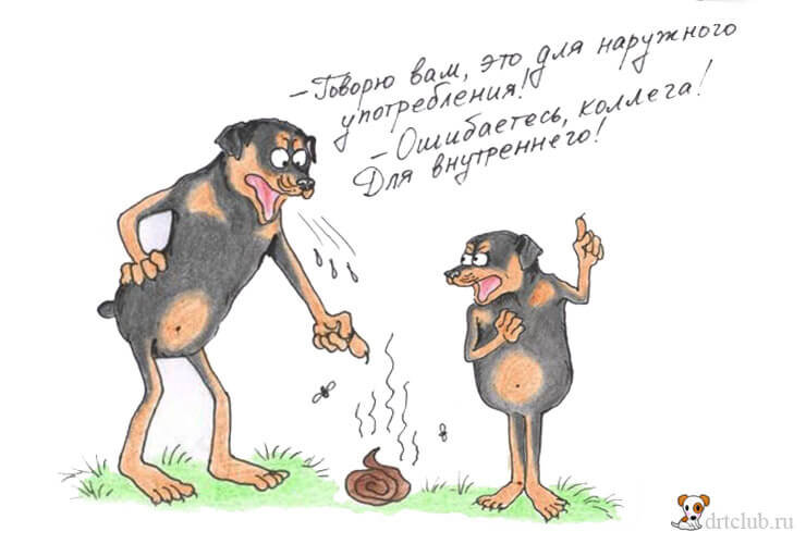 Недостаток внимания и скучание