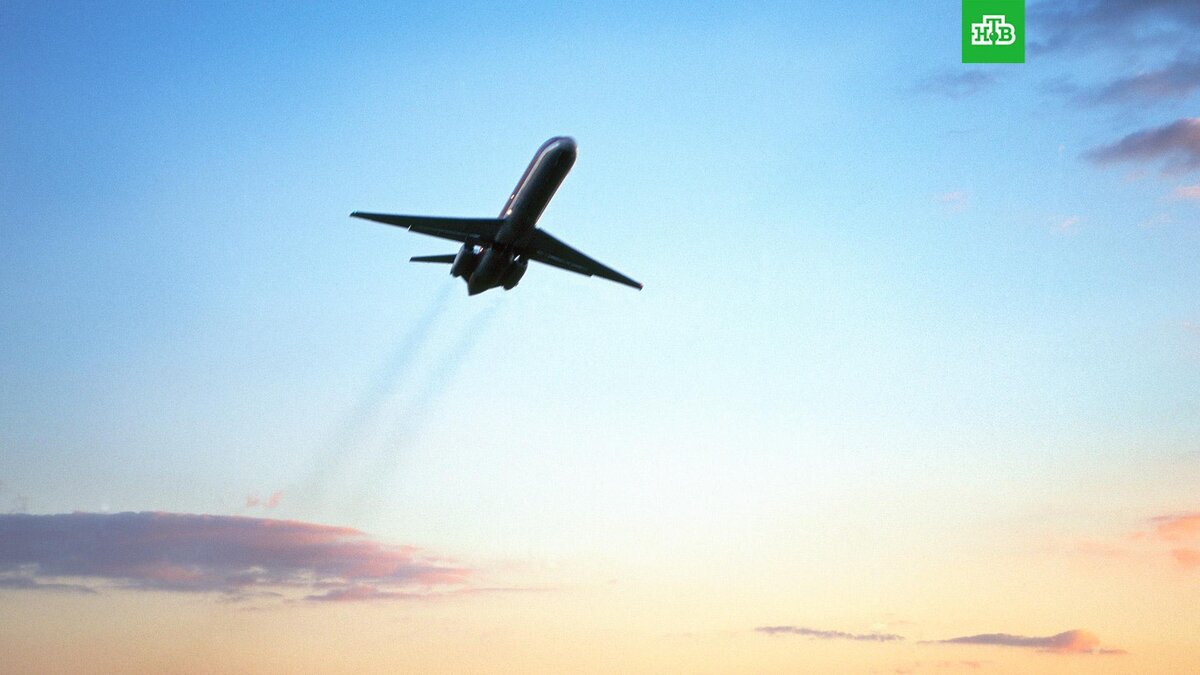    Фото: Getty Images