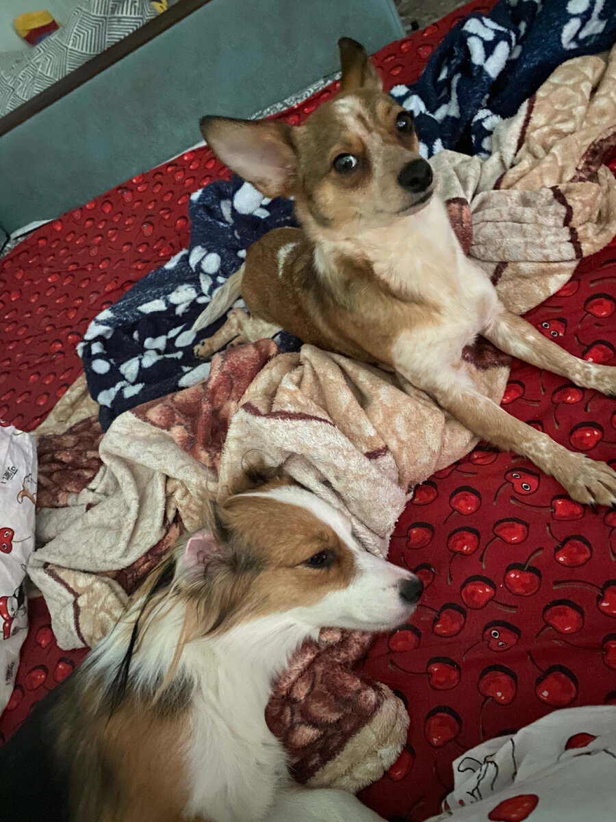 Как уже пора вставать?