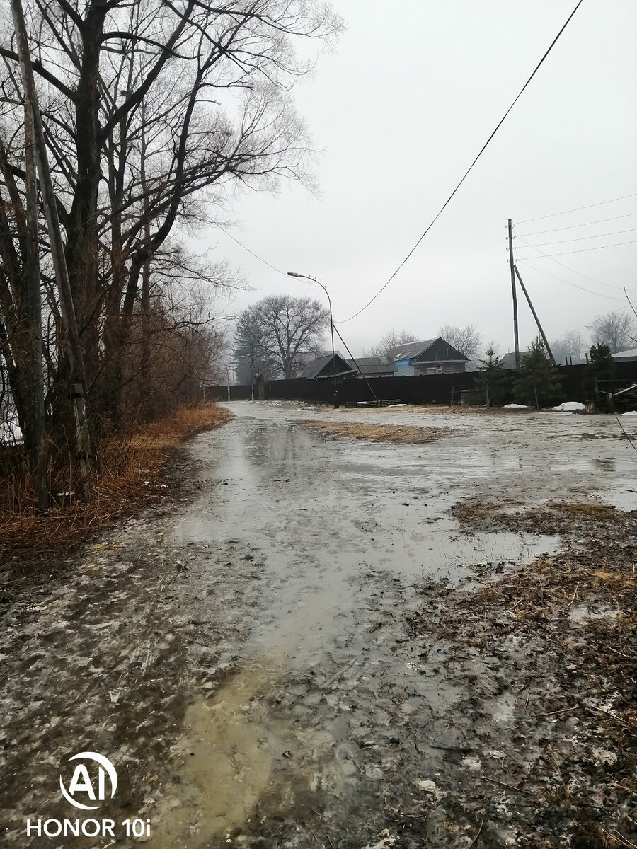 Фото автора, да, иногда дорога на работу бывает и такой 🙃