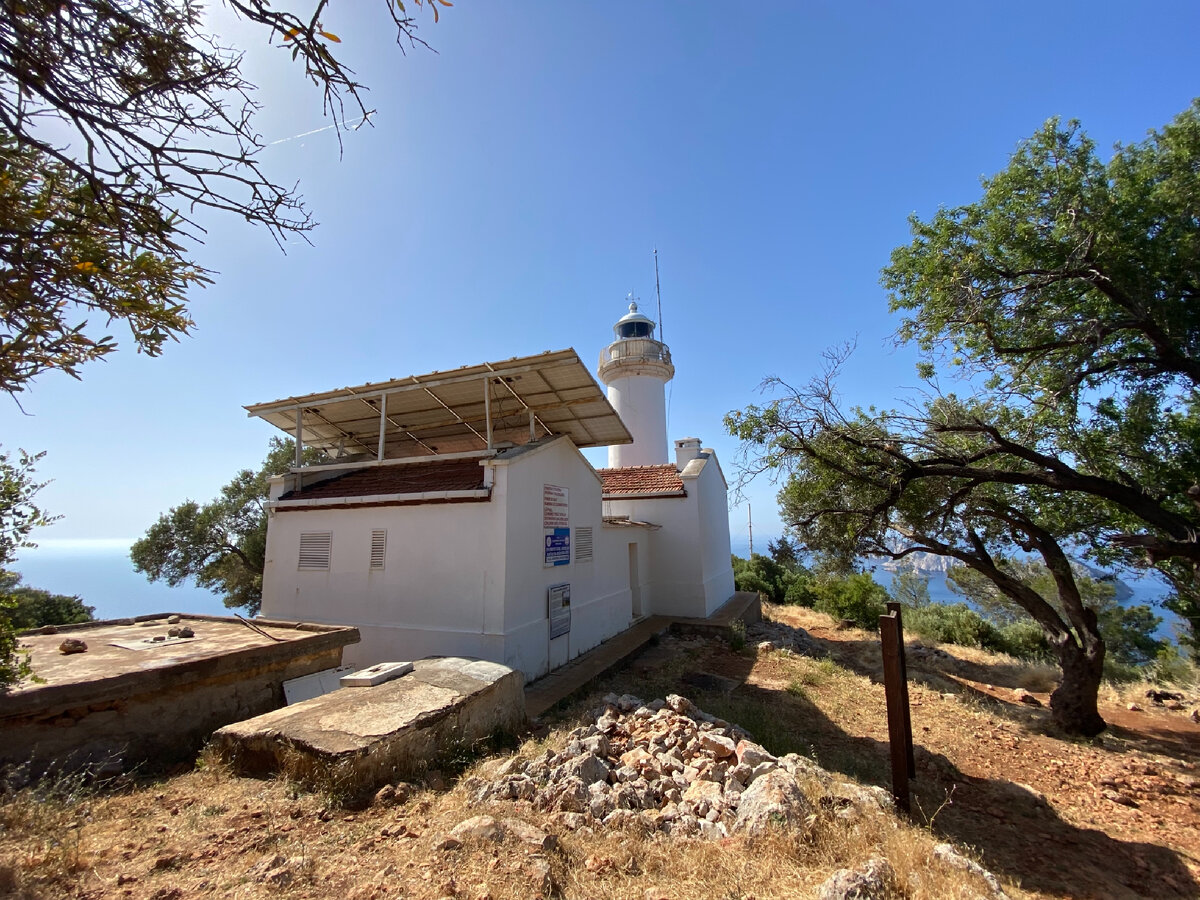 Данное фото и все фото ниже сделаны автором. 