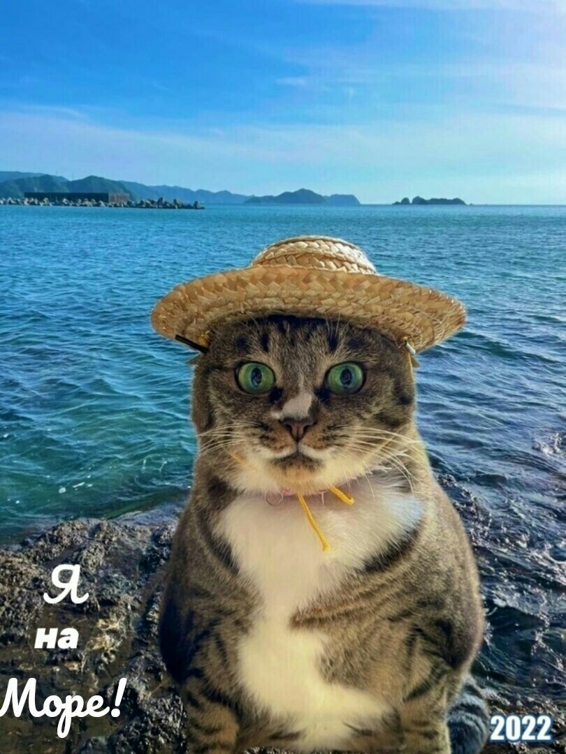 иллюстрация из яндекс картинки.