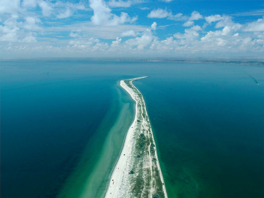 Фото из интернета.