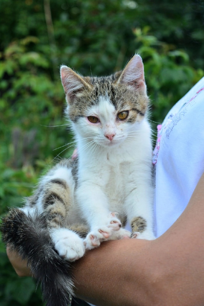 Мам, пап, где вы? 