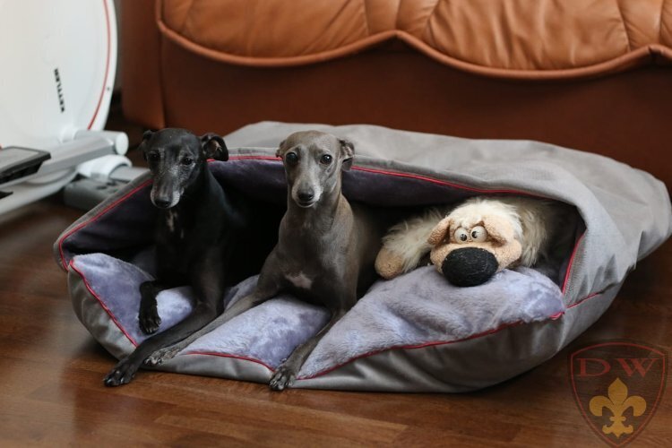 Большая лежанка Карман для собак