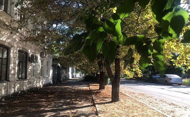 таганроге на неделю