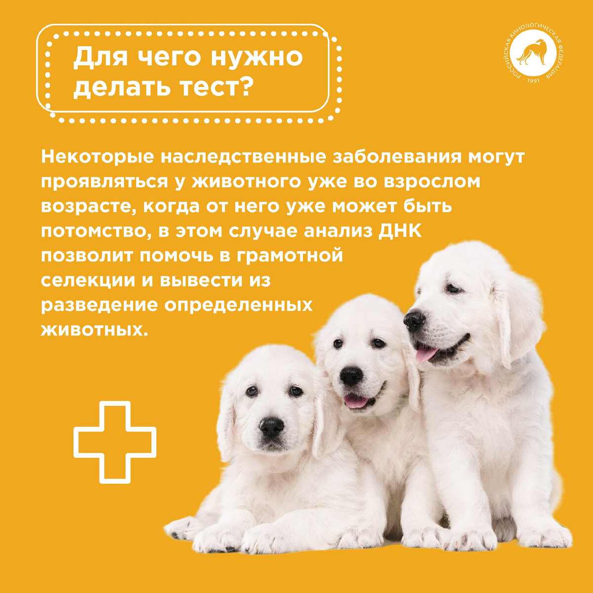 Генетические тесты для собак | Российская кинологическая федерация | Дзен