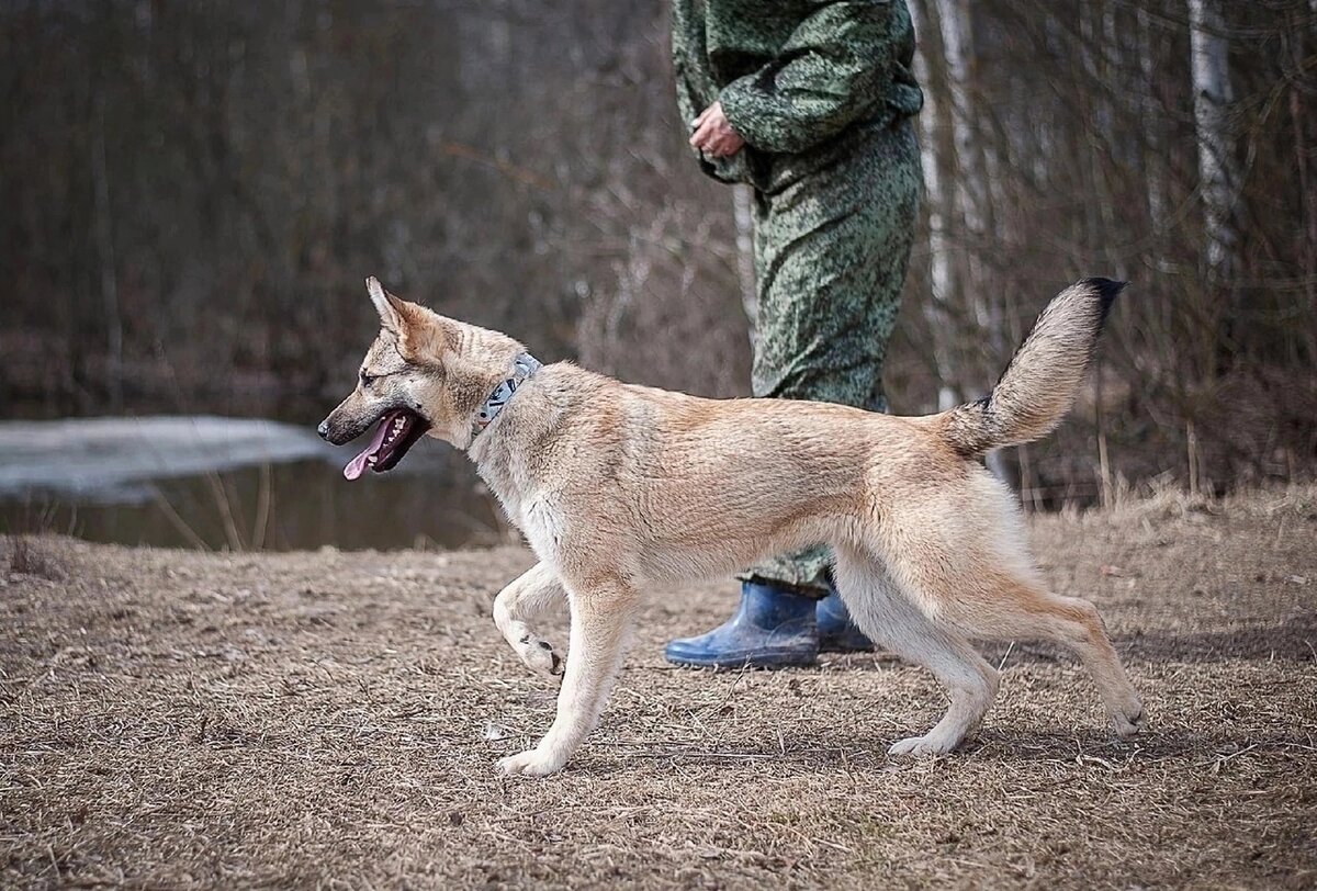 Вперёд, к новым приключениям!