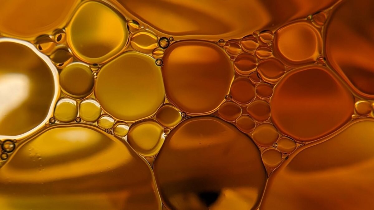    Фото: Unsplash Август Макаров