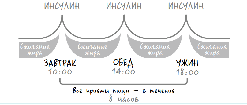 Интервальное голодание 16 8 схема для начинающих женщин как распределить