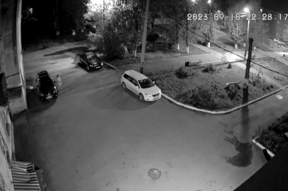    Женщина повредила автомобиль во дворе дома в Усолье-Сибирском