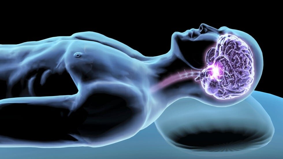 Что происходит в голове во время сна