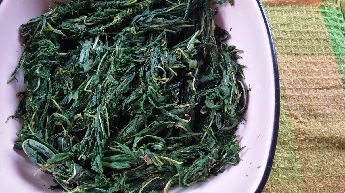 Мята ферментированная. Ферментированный зеленый чай. Ферментация листьев мяты. Ферментация чая. Ферментация листьев мяты.