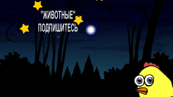 -6