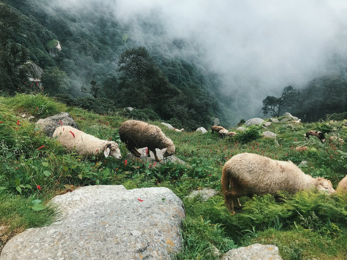 По дороге на вершину
