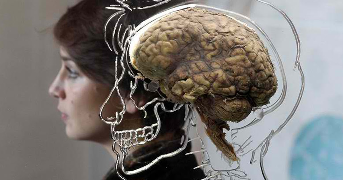 Мозг - это не кусок тела, это новая реальность