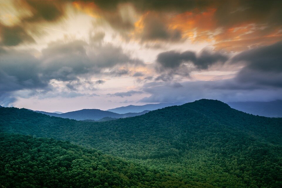https://pixabay.com/ru/photos/леса-деревья-холмы-дикая-847649/