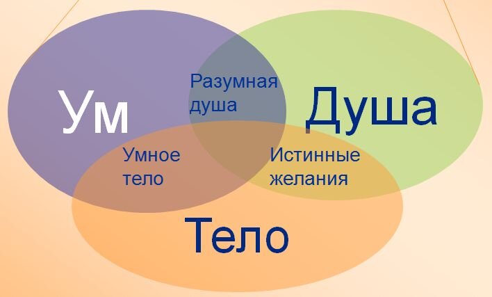 Ваше тело и разум. Триединство душа тело разум. Дух душа тело разум. Тело ум душа. Дух, душа и тело.