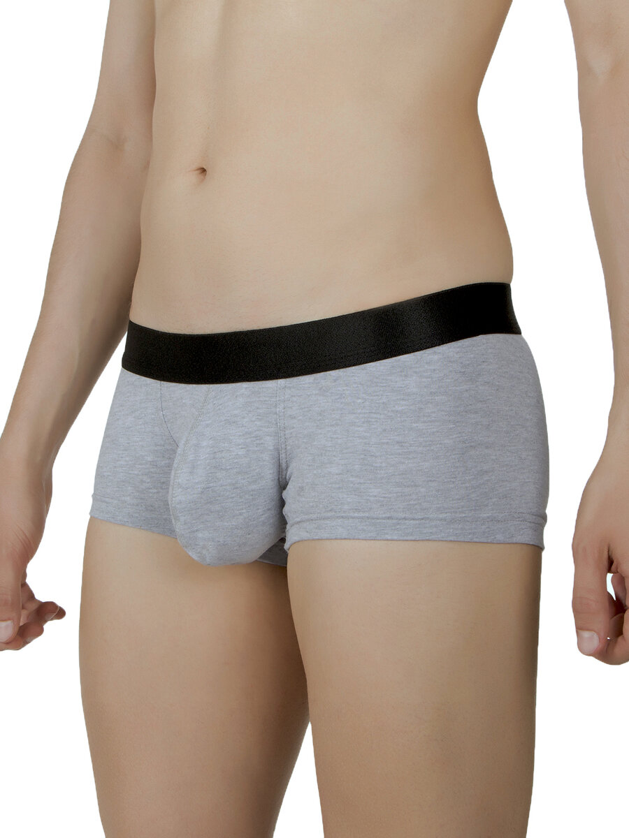 Удлиненные транки, atomic underwear, серые