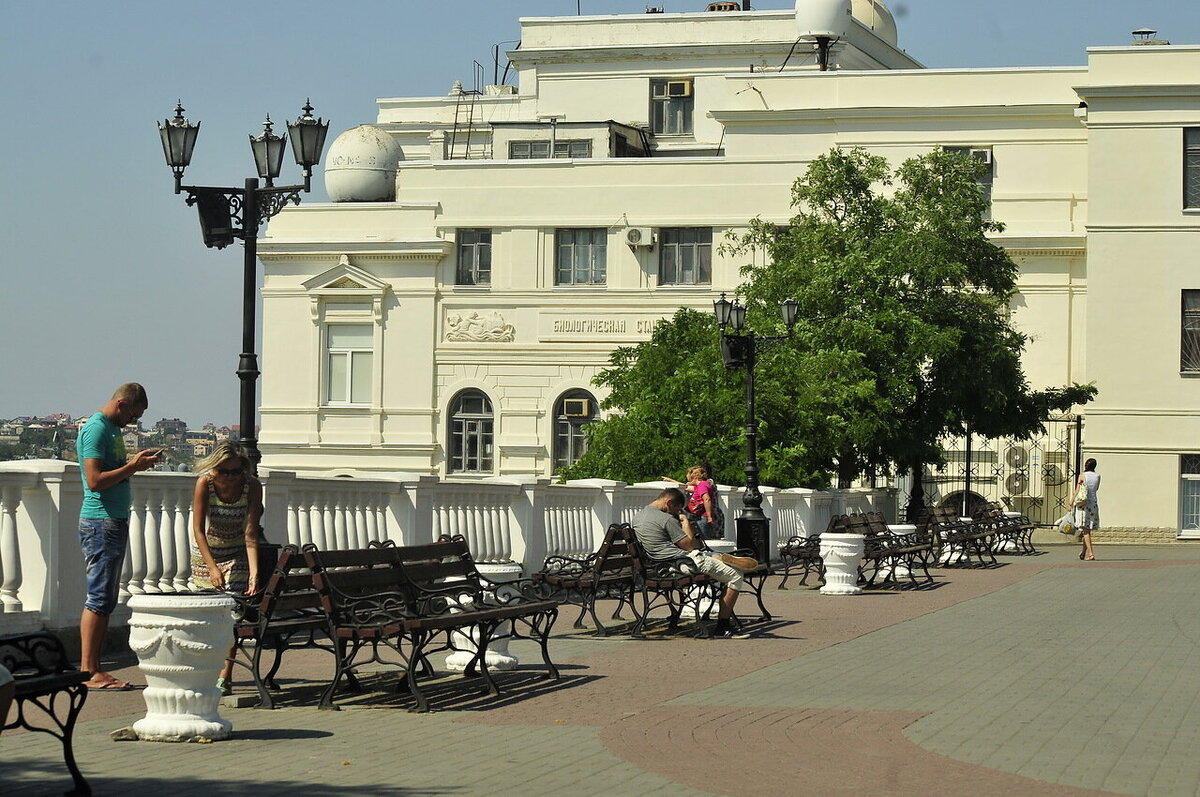 фото автора