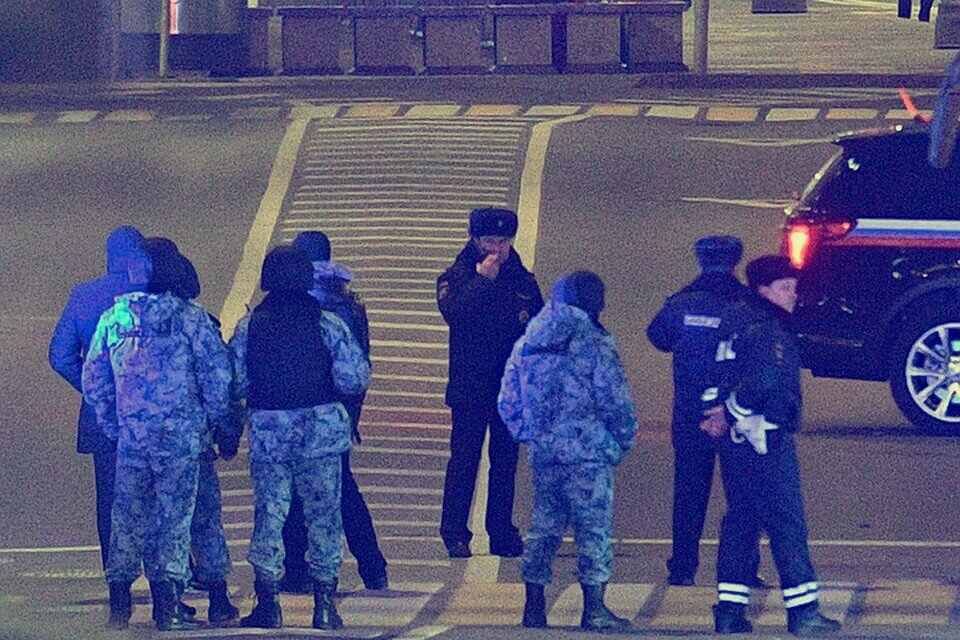 Фото с официальных источников Яндекс поиска 