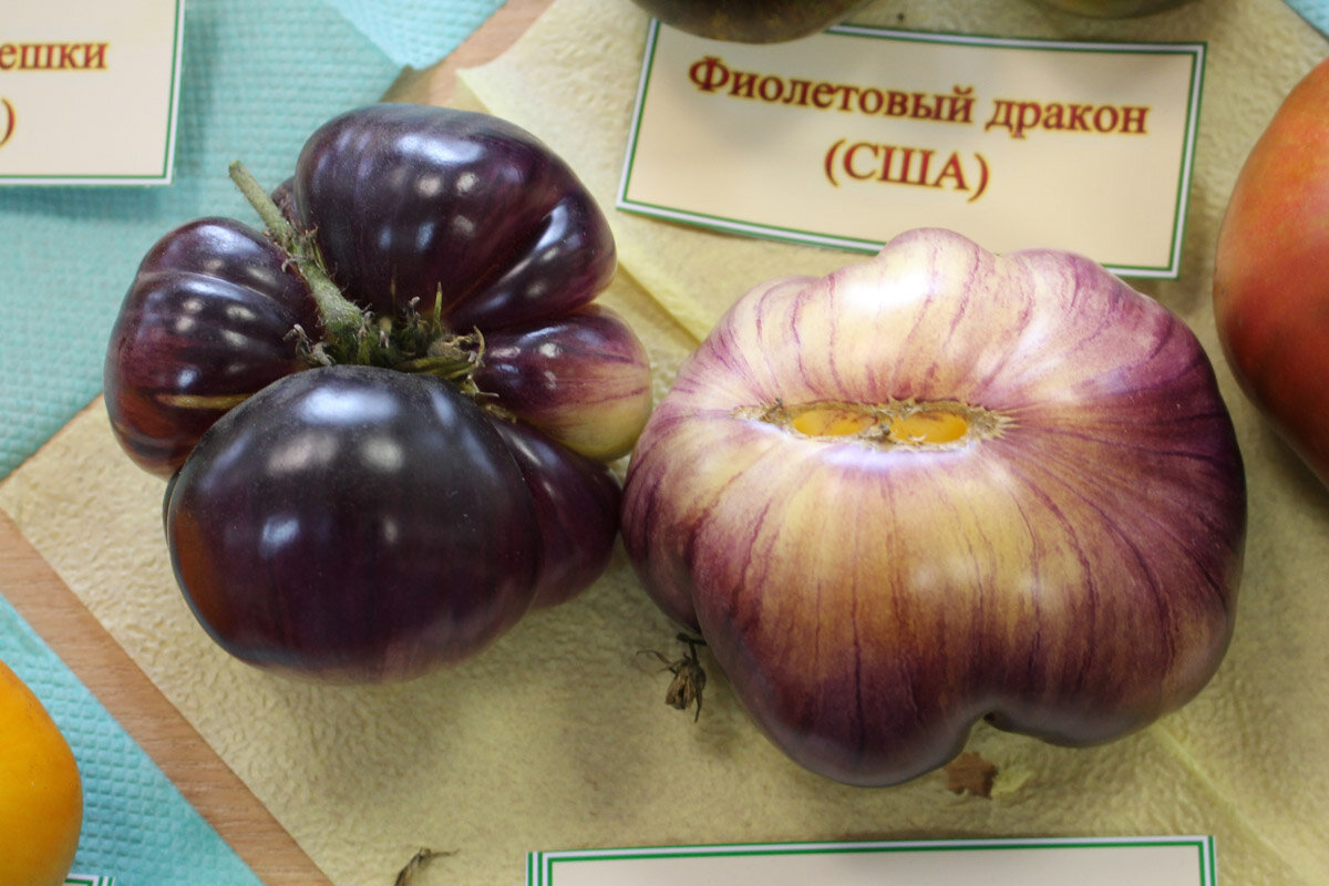 Сорт Сарт Ролуаз